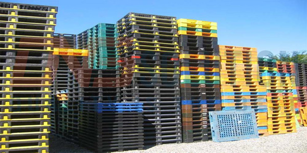 Pallet nhựa ngày càng được sử dụng rộng rãi ở nhiều doanh nghiệp